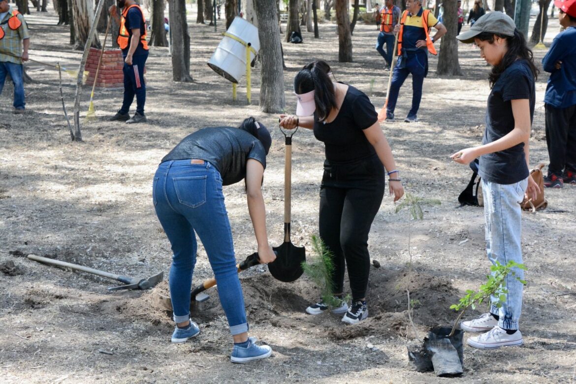 Rumbo al centenario del Parque Morales, continúan labores de rehabilitación, limpieza y reforestación