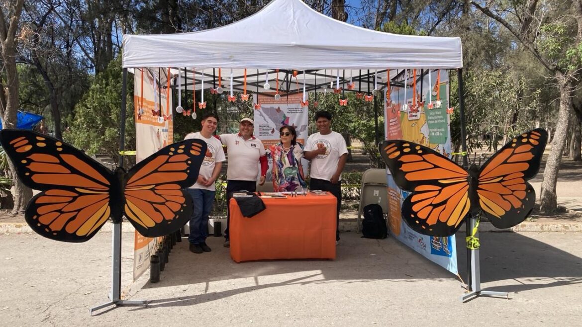 Interés de los capitalinos por los temas ambientales en el stand del Gobierno Municipal en la Feria de las Flores