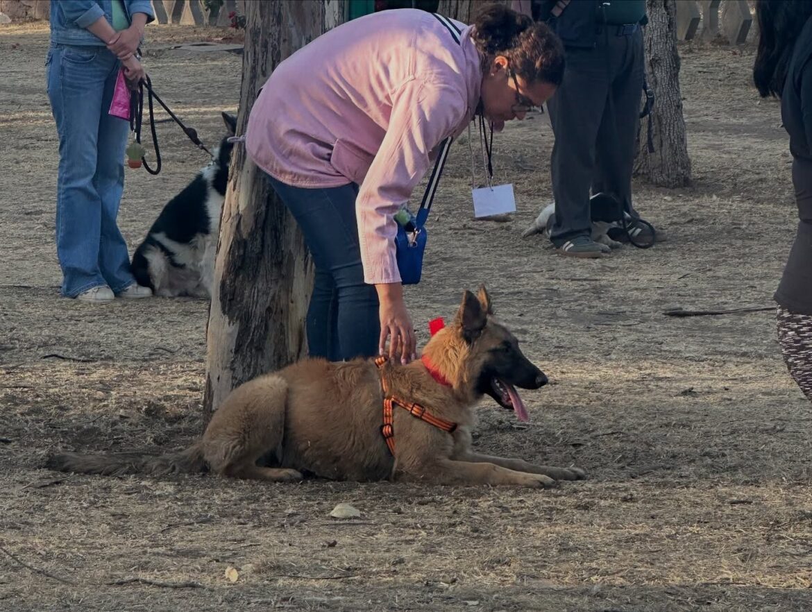 Responde ciudadanía al Curso de Adiestramiento Básico “Educan” del Gobierno Capitalino
