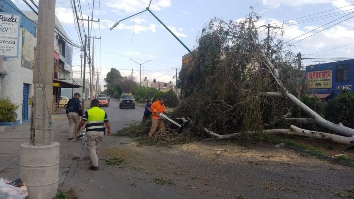 Continúa atención del Gobierno de la Capital para evitar situaciones de riesgo en la vía pública