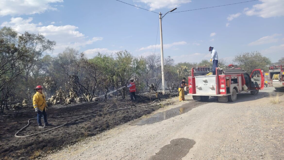 Protección Civil Municipal y cuerpo de Bomberos controlan incendio en Capulines
