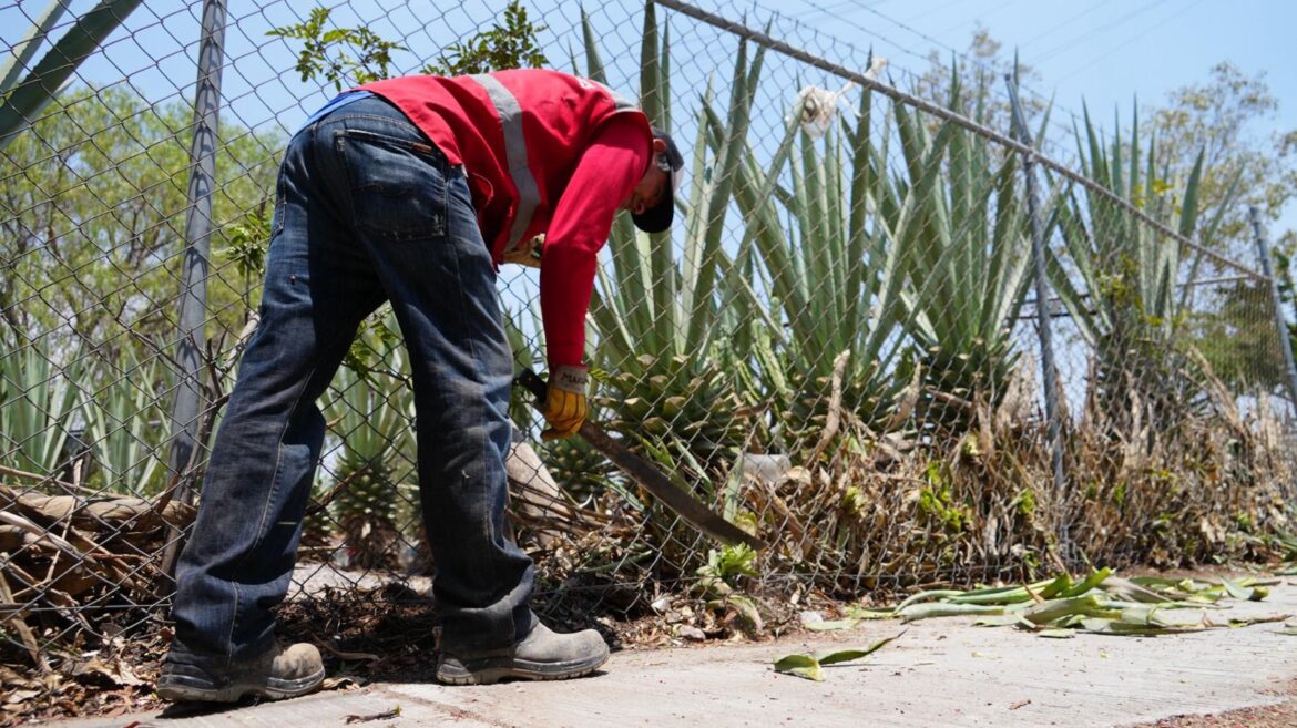 Habitantes del Valle del Campestre se benefician con el programa Capital al 100