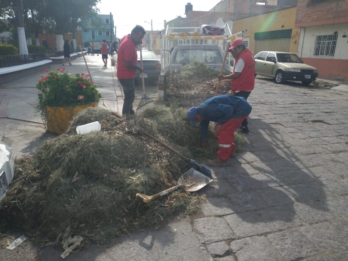Gobierno de la Capital continúa con la rehabilitación de jardines y espacios deportivos de la ciudad
