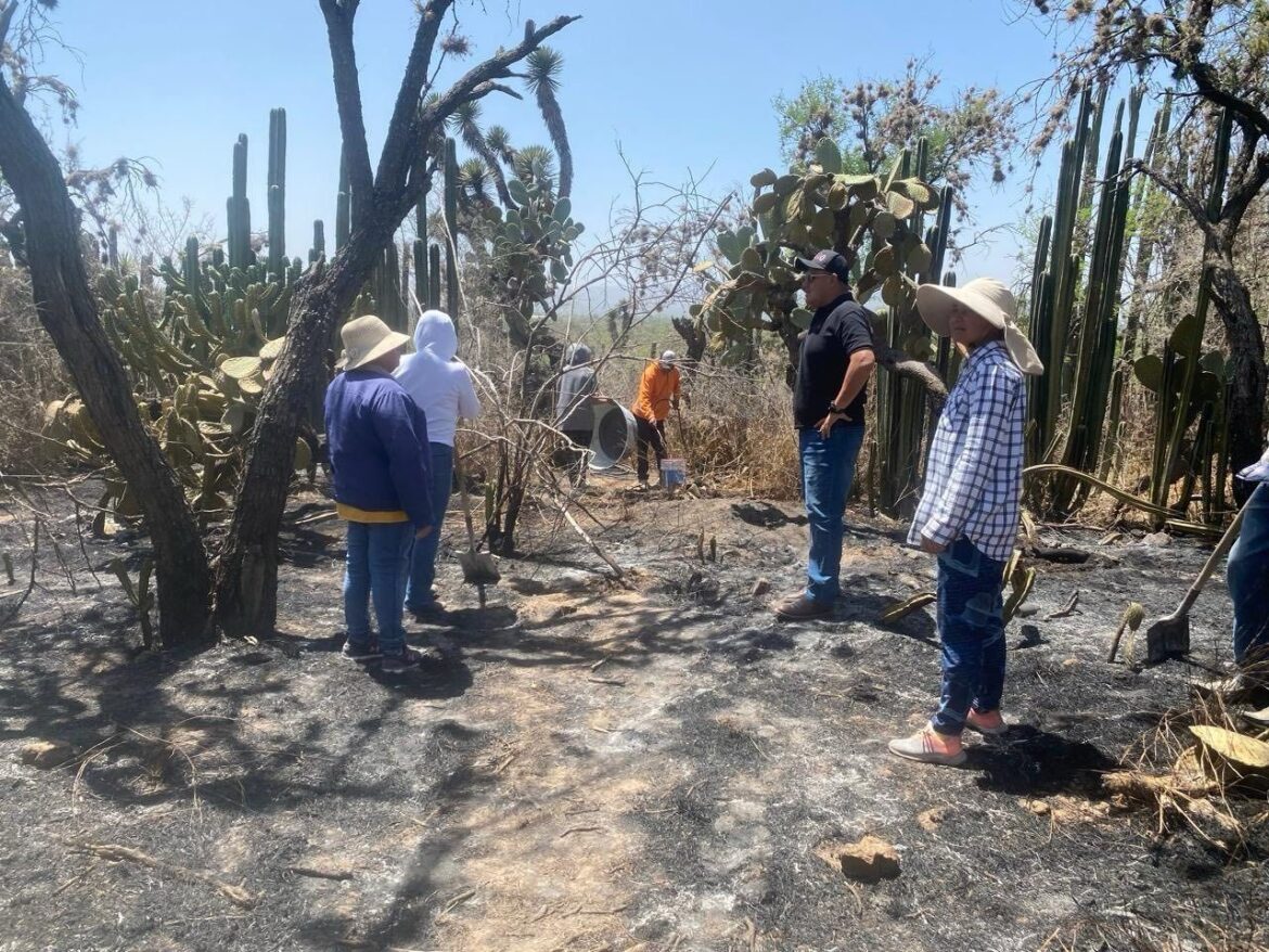 Gobierno de la Capital y Delegación de Bocas atienden incendios de esta temporada
