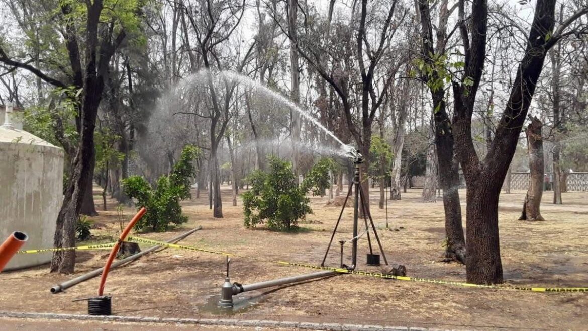 Rehabilita Gobierno de la Capital el Parque de Morales con riego sustentable