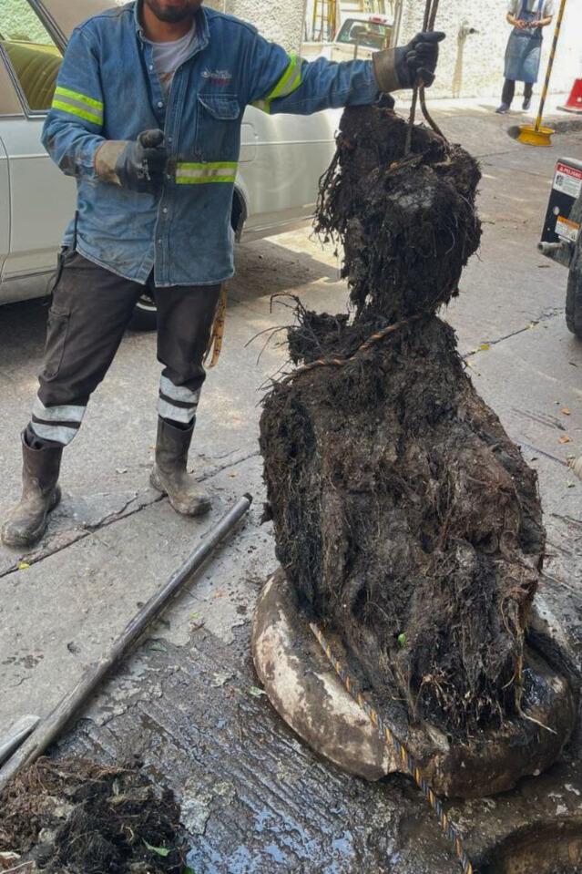 Retira Interapas tapón de raíces, cabellos y basura, de drenaje en Salvador Nava.