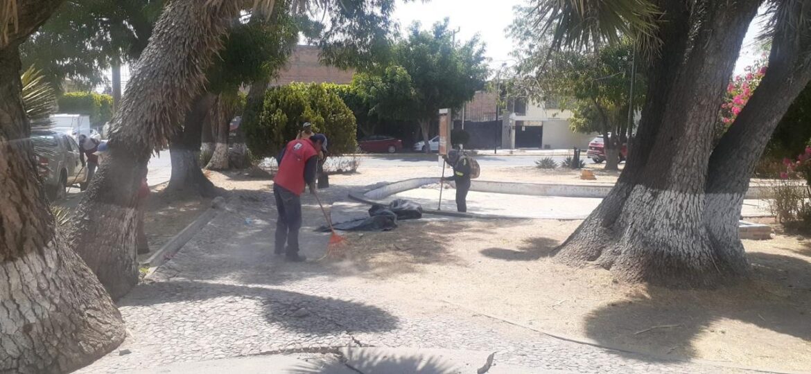 Responden cuadrillas del Gobierno de la Capital a peticiones ciudadanas