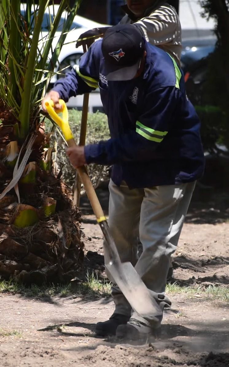 Gobierno de la Capital refuerza mantenimiento en jardín de Tequisquiapan ante sequía