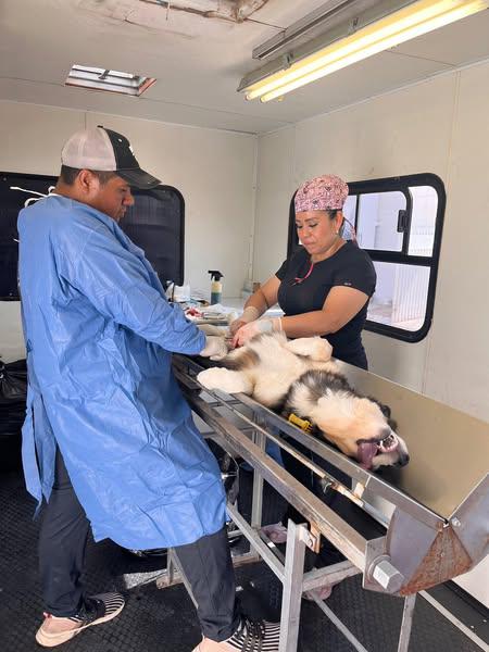 Jornadas itinerantes “Esterilizando Juntos” benefician ya a distintos sectores de la Capital potosina