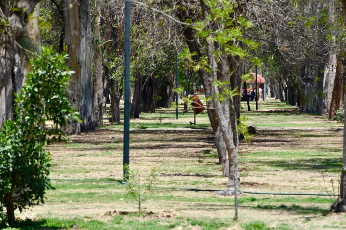 Gobierno de la Capital pone en marcha nuevo sistema de riego del emblemático jardín de Tequis