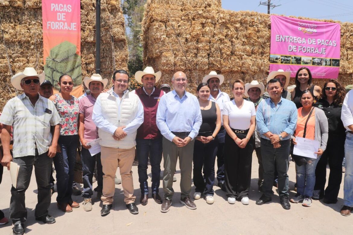 San Luis Capital impulsa al sector agropecuario con entrega de forraje, tractores e insumos a productores de la Delegación La Pila