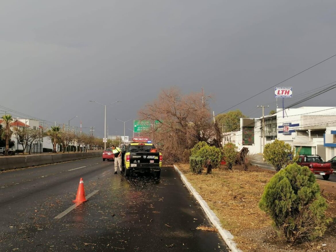 Gobierno Municipal, preparado para atender situaciones de emergencia por lluvias y fuertes vientos