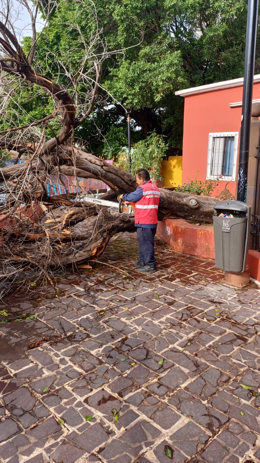 Gobierno de la Capital atiende afectaciones por lluvias del sábado en distintos puntos de la ciudad