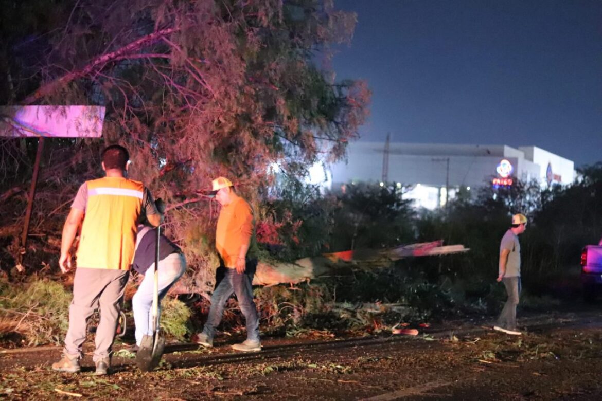 Gobierno Municipal atiende afectaciones por lluvias y vientos en la Delegación La Pila