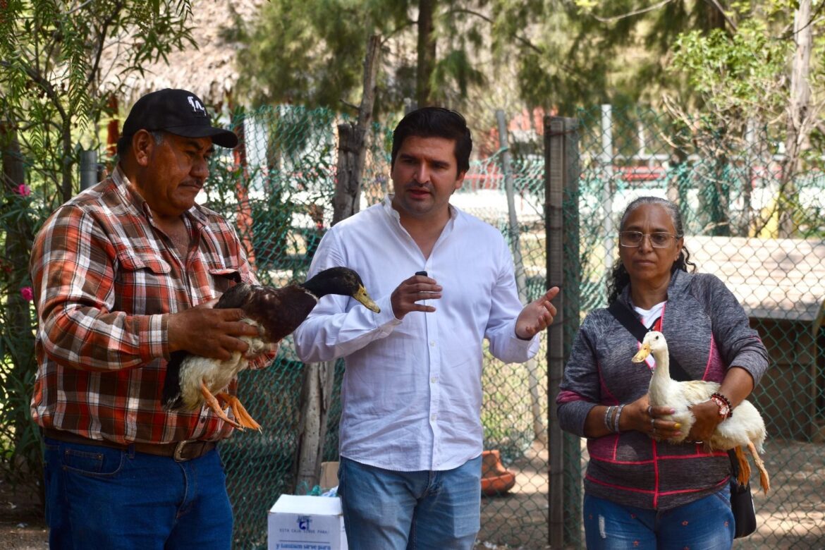 Donald y Daisy, nuevos habitantes de Villa Cuac en el Parque de Morales