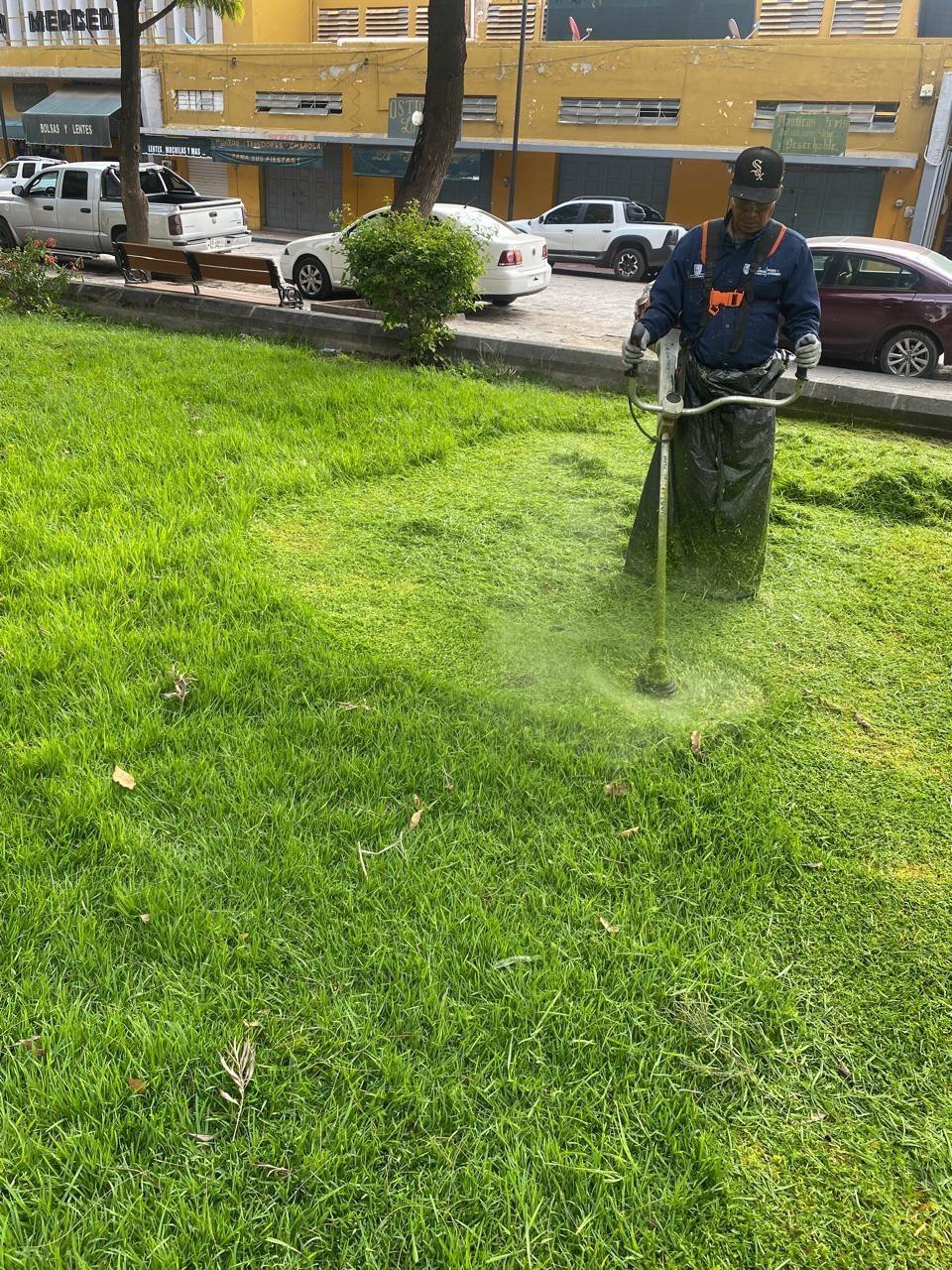 Gobierno de la Capital recuerda a la ciudadanía teléfonos para reportes de Servicios Municipales