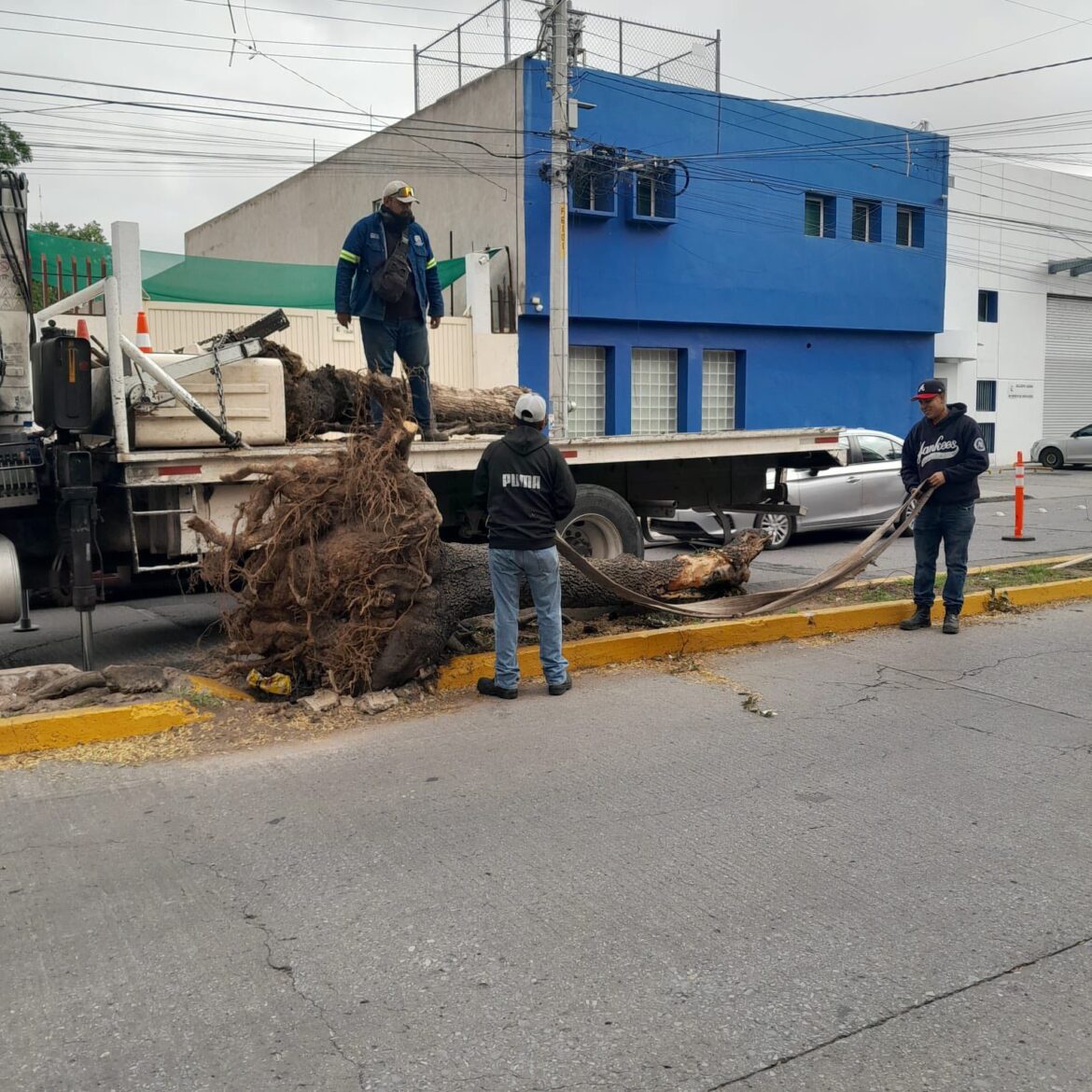 El Gobierno de la Capital embellece la ciudad con acciones de mantenimiento urbano