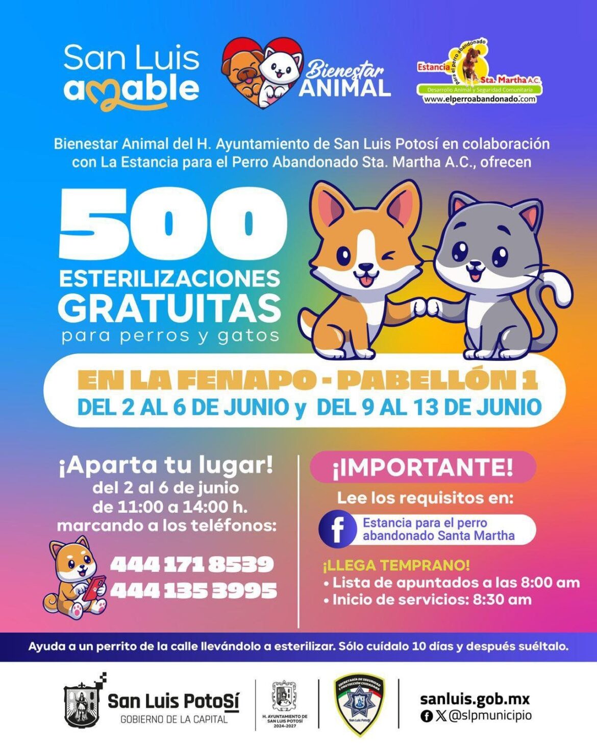 Ayuntamiento de SLP y Asociación Civil van por 500 esterilizaciones gratuitas de perros y gatos
