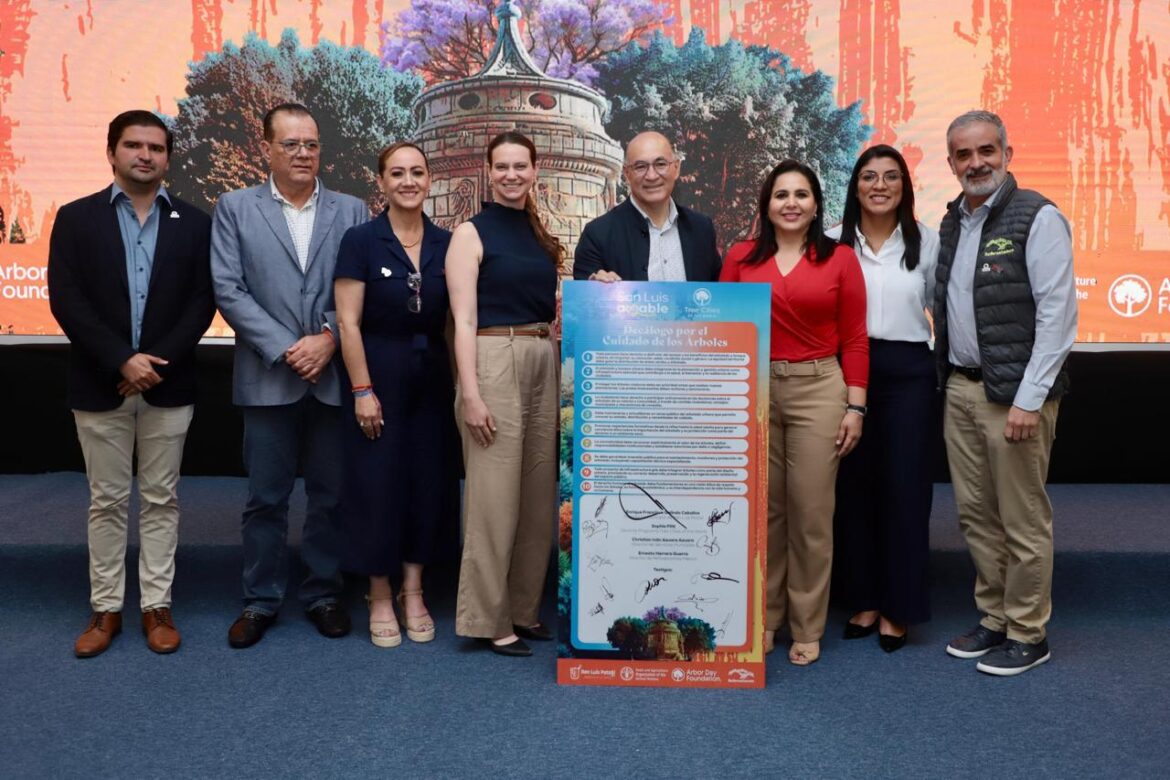 Desde San Luis Capital, impulso internacional para reconocer a los árboles como un derecho humano