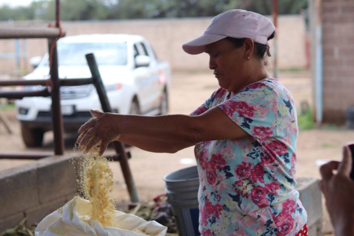 Gobierno de la Capital fortalece la alimentación ganadera en la Delegación La Pila