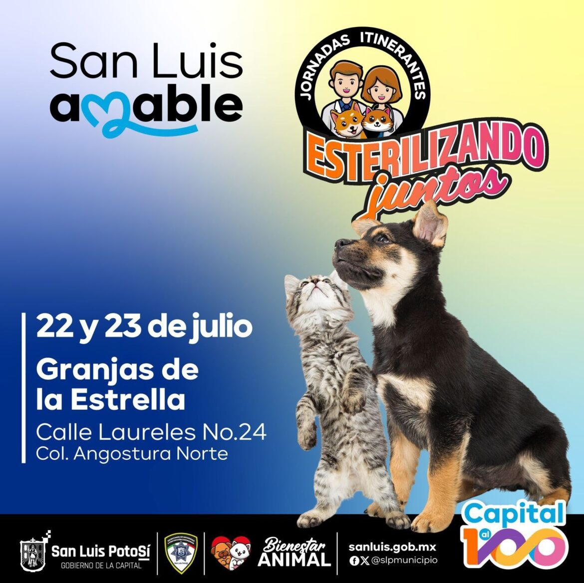 Este martes 22, jornadas municipales de “Esterilizando Juntos” beneficiarán a Granjas de la Estrella