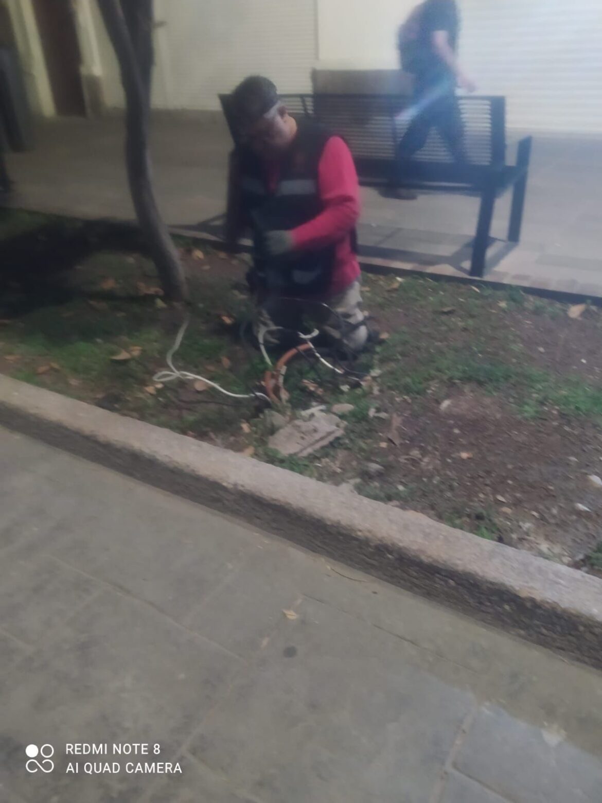 Reparan vandalismo en luminarias de Avenida Carranza para restablecer la iluminación