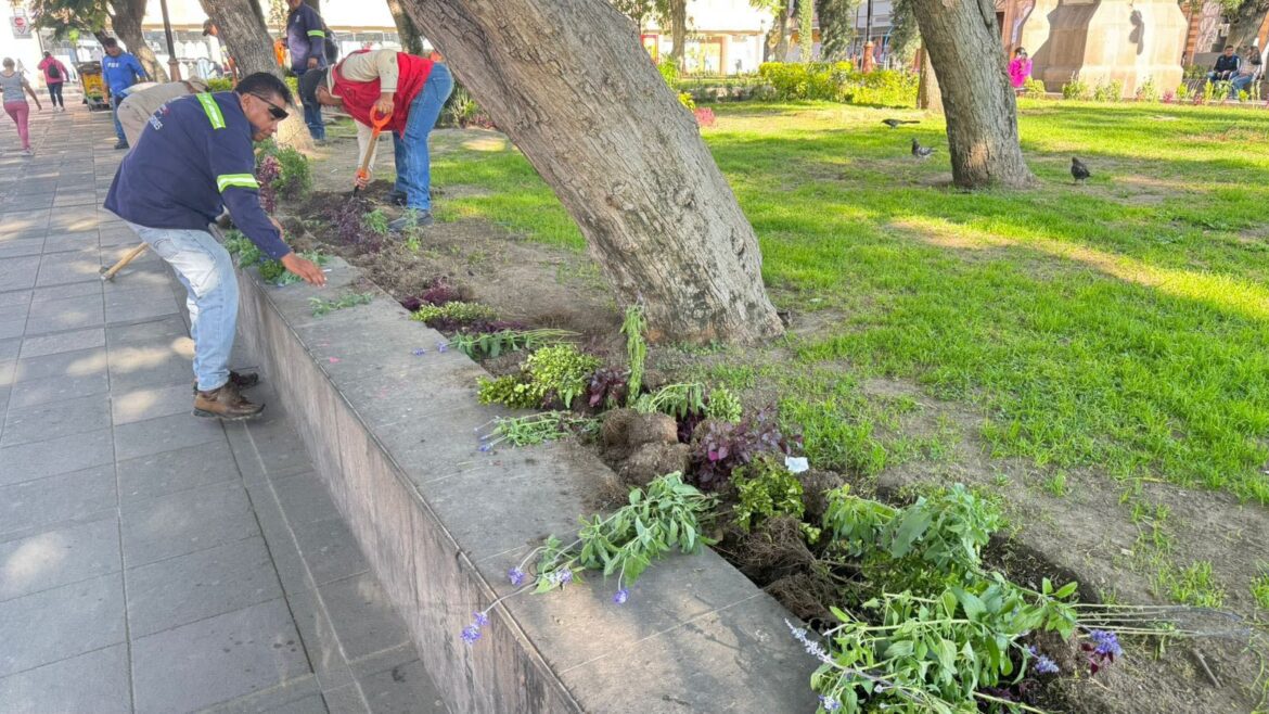 Condena ayuntamiento de SLP vandalismo en jardín de San Juan de Dios