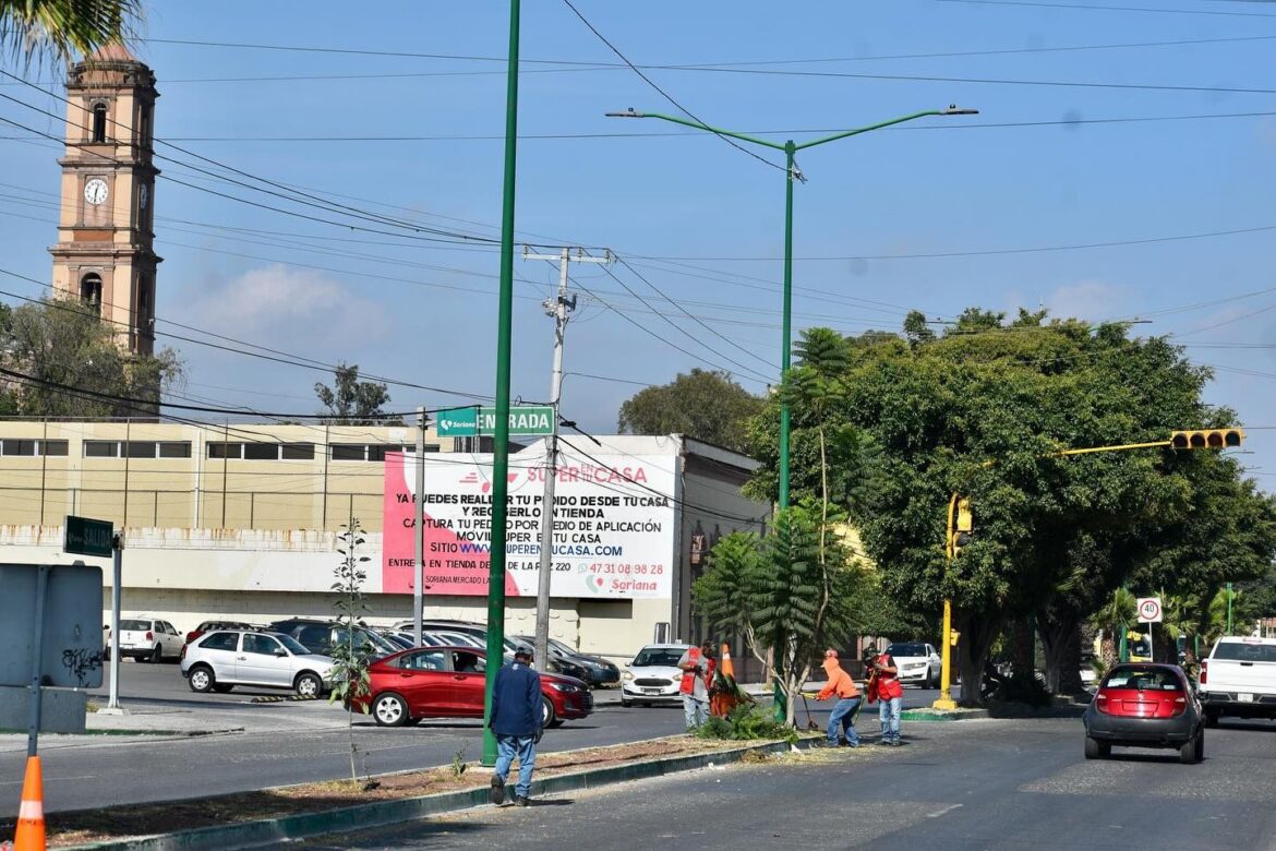 Continúan las acciones del Gobierno Municipal para la limpieza y mantenimiento de la ciudad