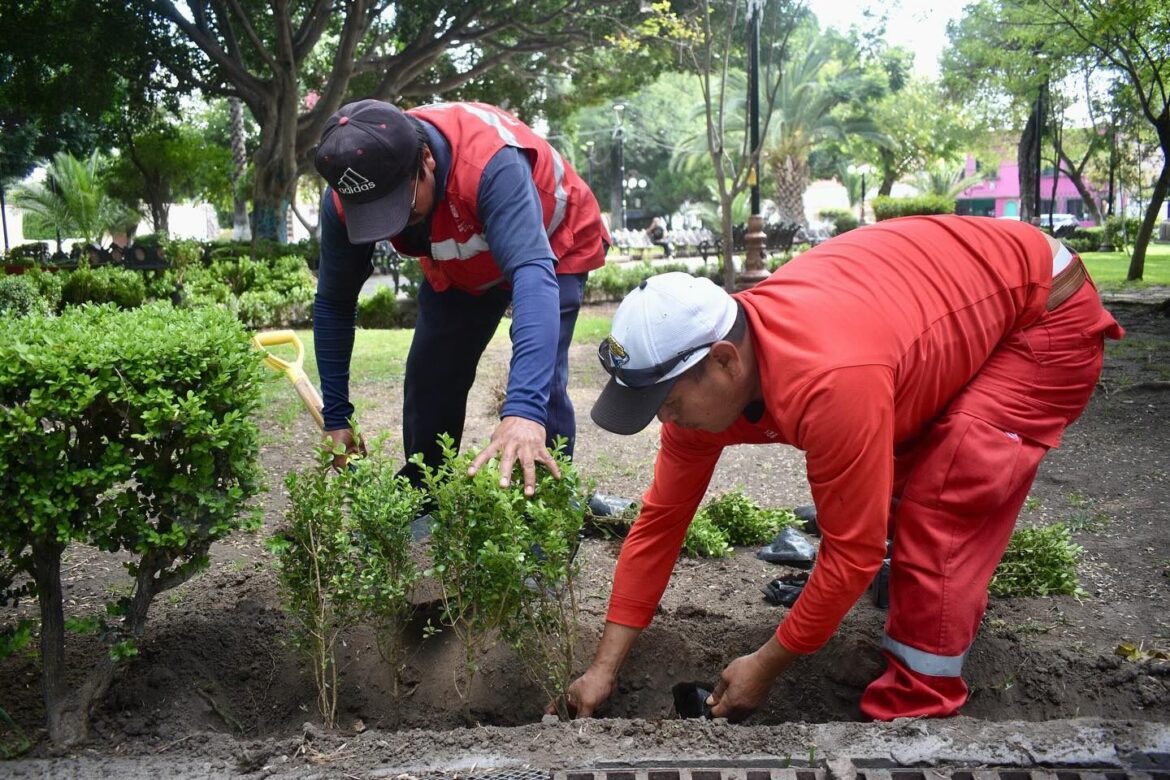 Ayuntamiento de SLP refuerza limpieza y mantenimiento en espacios públicos
