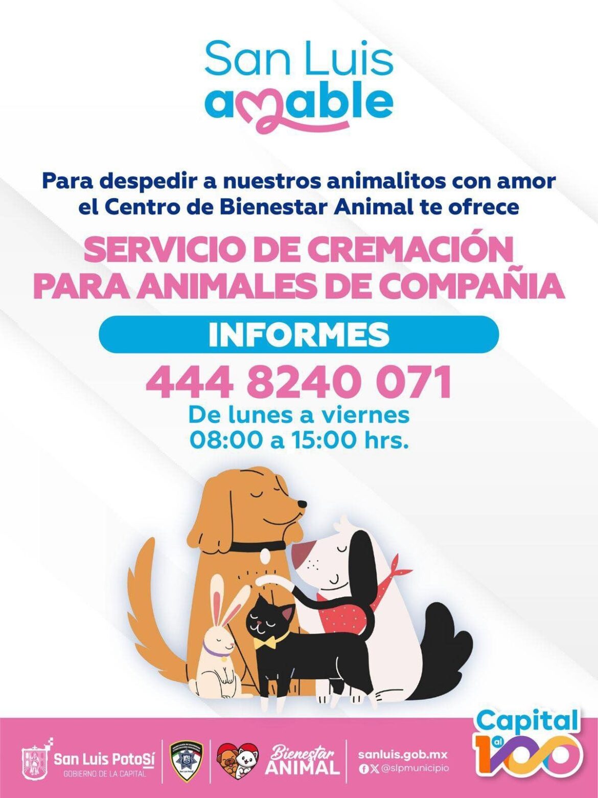 Gobierno Capitalino pone a disposición de la población, cremación para animales de compañía  
