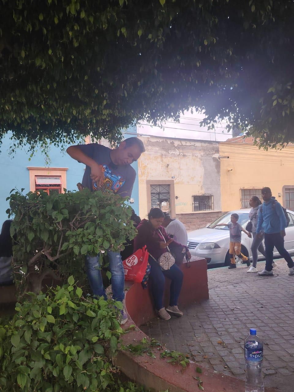 Avanza mantenimiento integral en el Mercado Camilo Arriaga