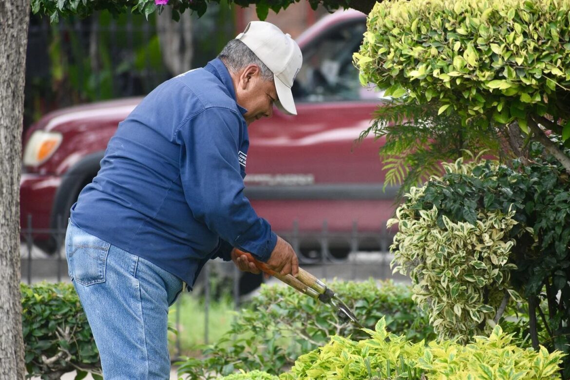 Gobierno Municipal da mantenimiento a la Caja del Agua