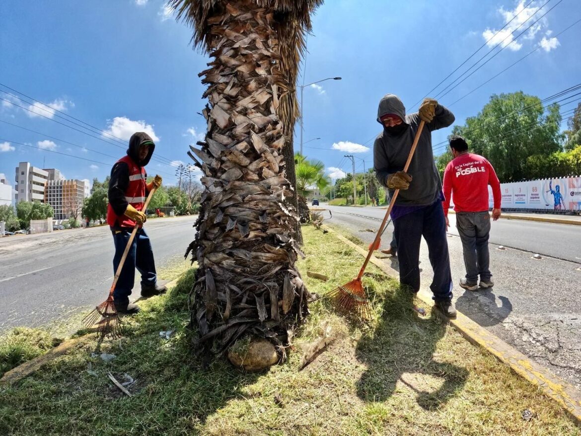 Mejoran espacios verdes con trabajos de limpieza y mantenimiento en San Luis Capital