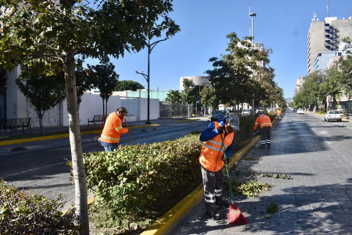 Embellecen espacios icónicos de la San Luis Capital con limpieza y mantenimiento