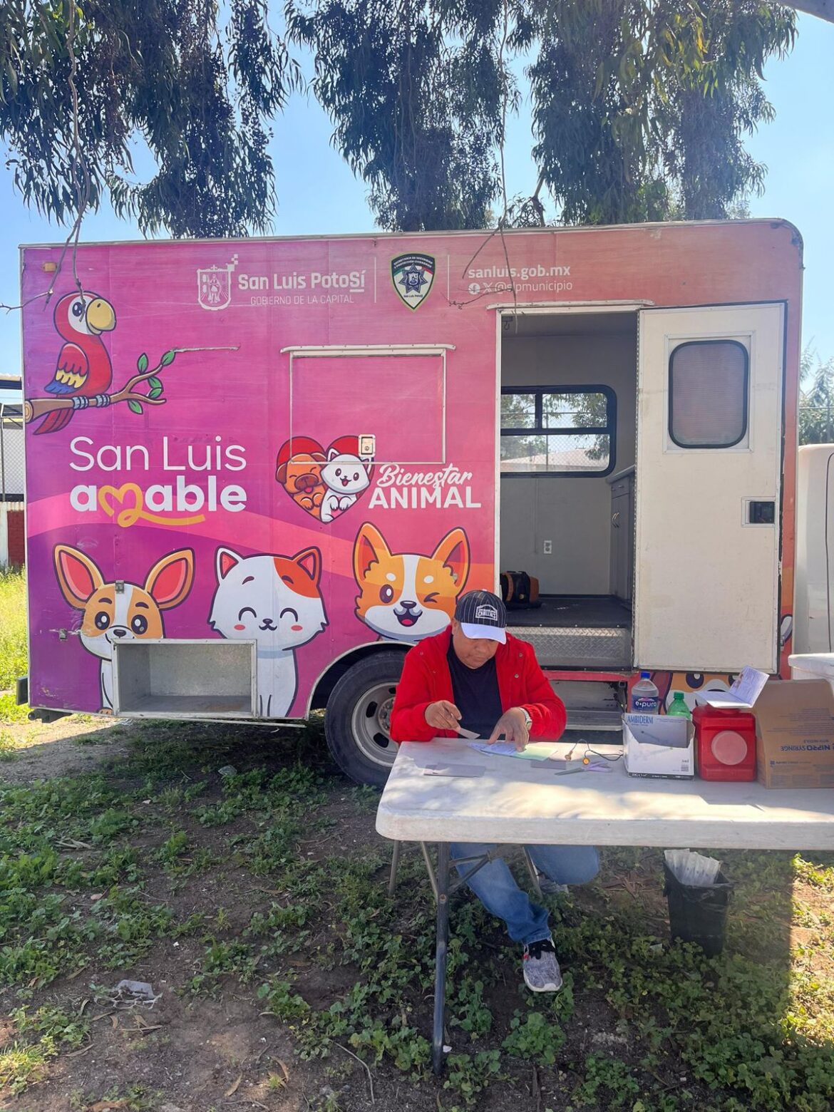 Atenderá Gobierno de la Capital a perros ubicados en avenida Chapultepec