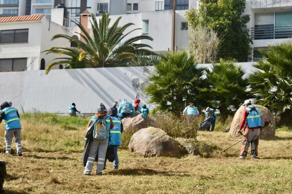 San Luis Capital mantiene acciones de limpieza y embellecimiento urbano
